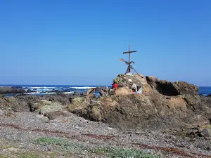 Playa La Ballena