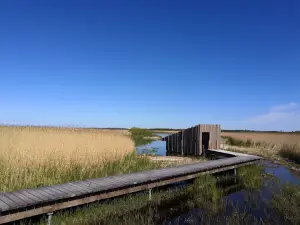 Tryggelev Nor bird sanctuary