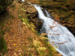 Bistriški vintgar