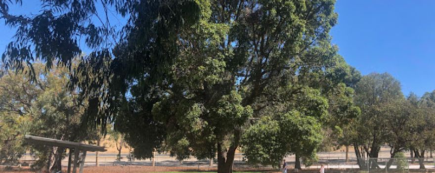 Edgar Griffith Park