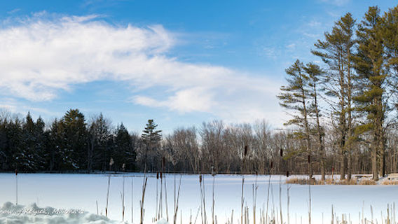 Hirundo Wildlife Refuge