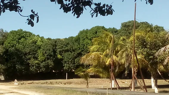 Centro De Aventura Cambalache