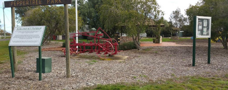 Jung Pepper Tree Park
