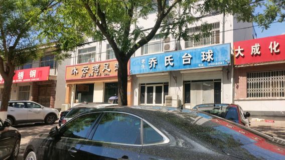 lao niu qiao shi tai qiu