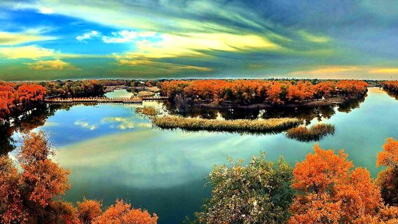 ba chu xian hong hai jing qu si lu gu dao