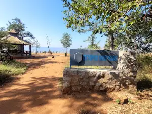 Octopus Viewpoint