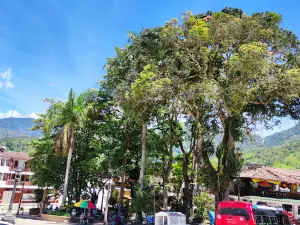 Cocorná Main Park