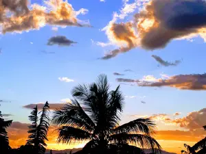Parque Francisco Camaño Deño