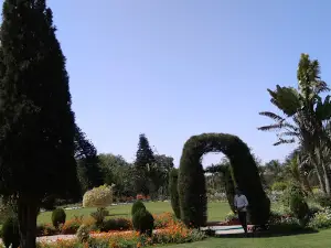 Grasim Staff Club