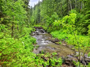 Kan'on Na Reke Istok