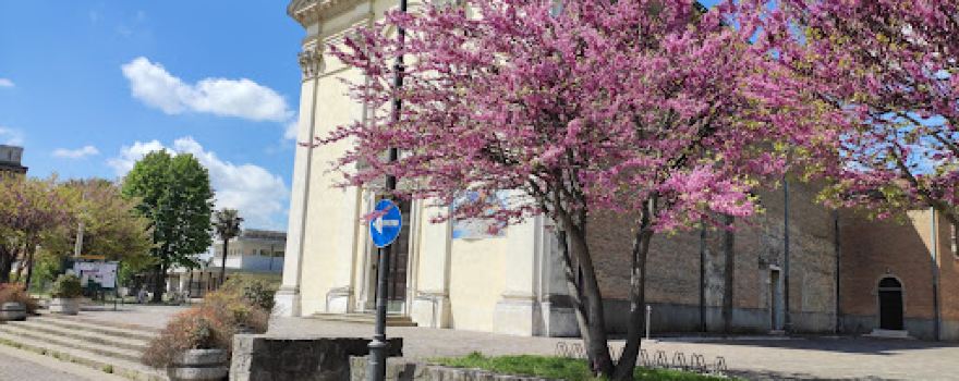 Parrocchia di Santa Maria Assunta in Vigonovo
