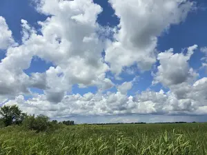 White River Marsh State Wildlife Area