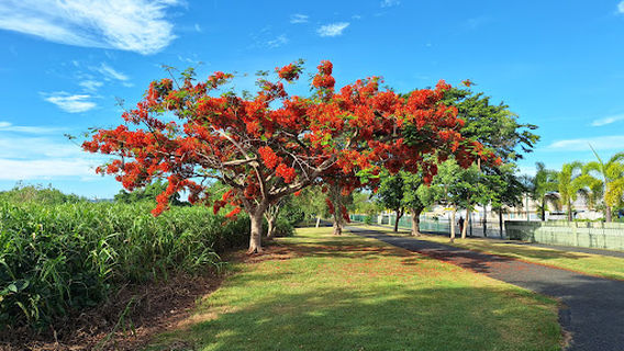 Parque Julia de Burgos