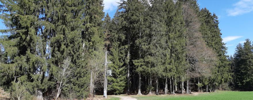 Étang des Gurles Promenade et Parc