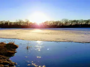 Foster-Arend Park