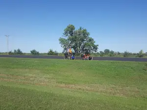 Pheasant City Drive-In Theatre
