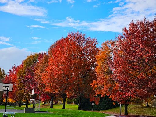 Griffin Oaks Park