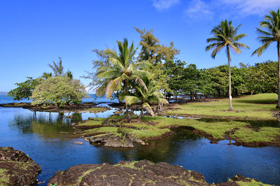 Keaukaha Beach Park