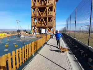 Wieża widokowa w Dąbrówce Szczepanowskiej