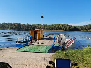 Port Wierzba