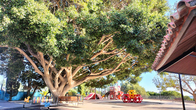 Polideportivo Paco Cantos