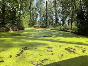 Saravan Jungle Lagoon