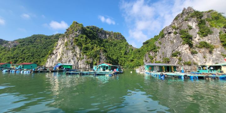 Cat Ba Island