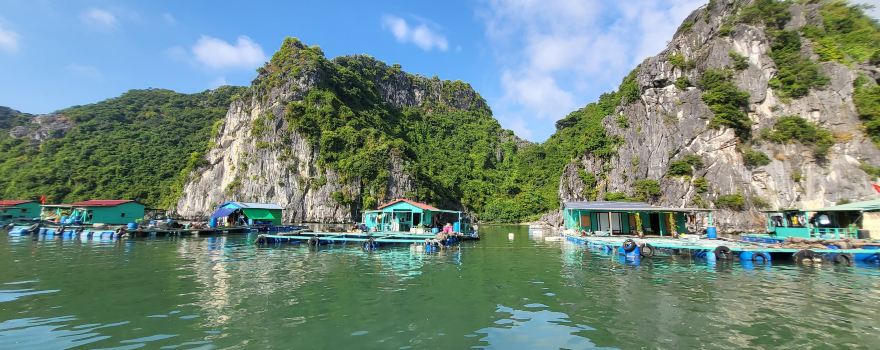 Đảo Cát Bà