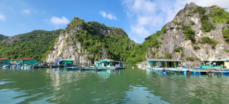 Hotels near Cat Ba Beach