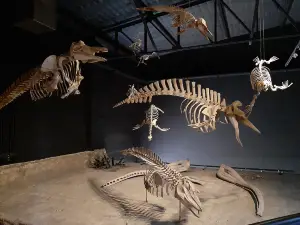 Egidio Feruglio Paleontological Museum