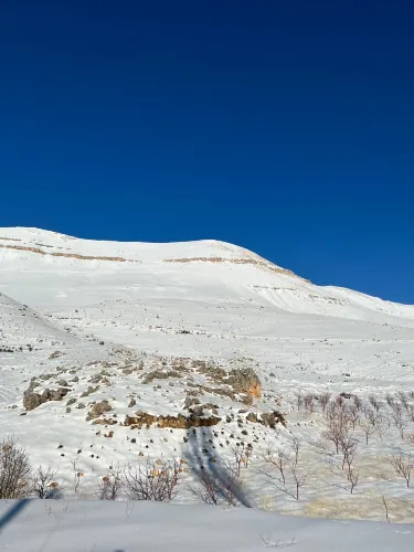 Cedars of God Bsharri