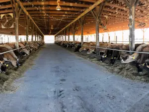 Simply Natural Creamery
