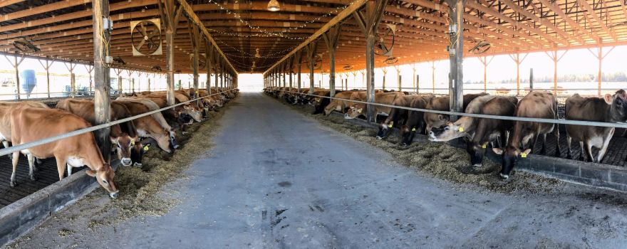 Simply Natural Creamery
