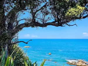 Tawharanui Regional Park