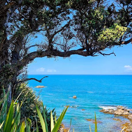 Tawharanui Regional Park