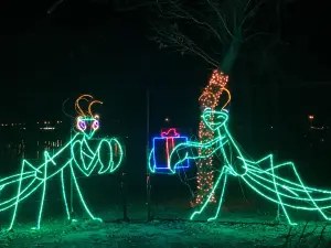 Prairie Lights