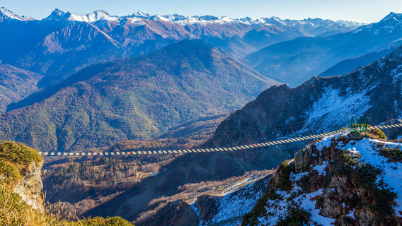 Роза Пик (2320)