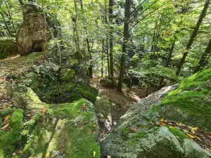 Sierakowski Landscape Park
