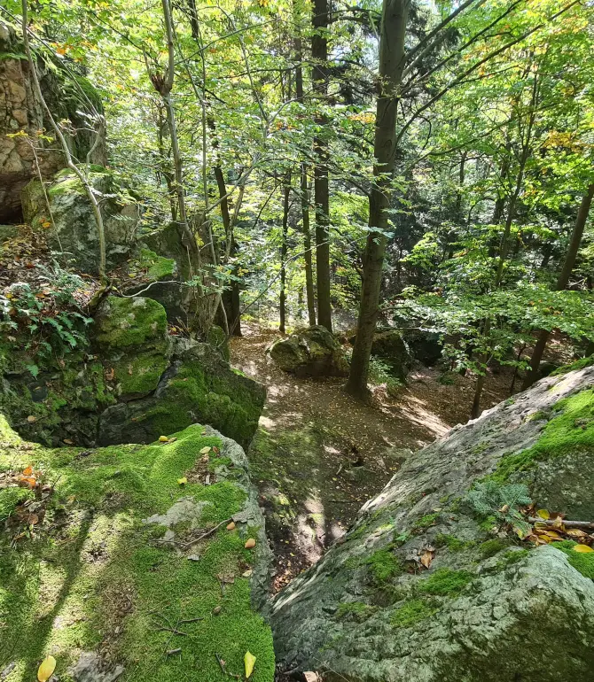 Miedzychod County
