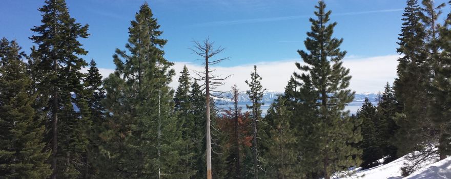 Tahoe City