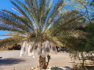 China Ranch Date Farm & Bakery