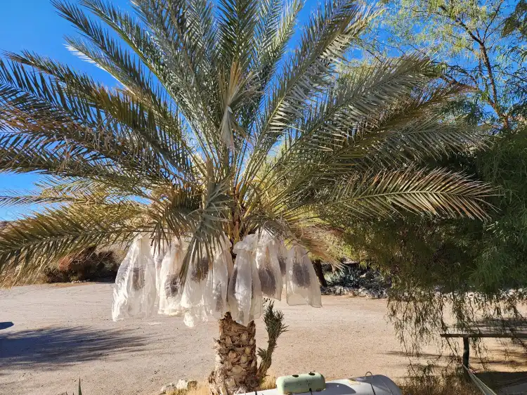 Hotels in Tecopa