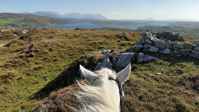 Errislannan Riding Centre & Connemara Pony Stud