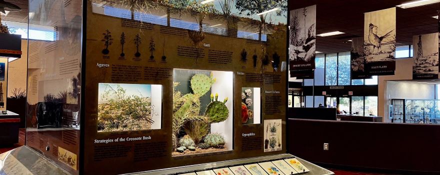 Living Desert Zoo & Gardens State Park