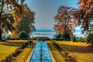 Nishat