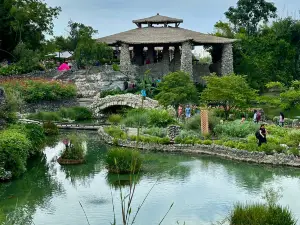 Japanese Tea Garden