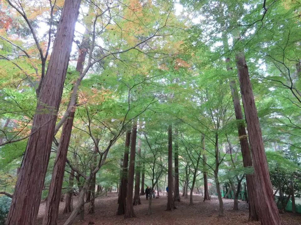 3_Ichikawa City Zoo