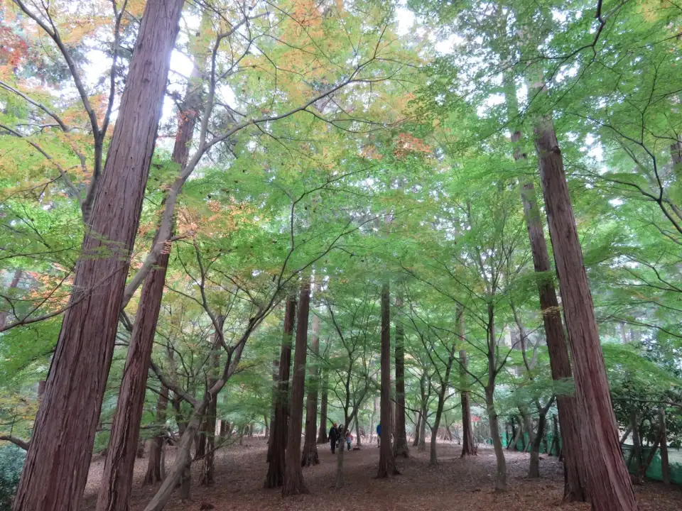 3_Ichikawa City Zoo