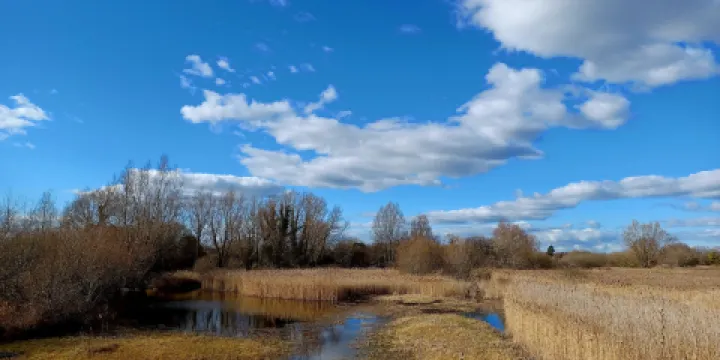 RSPB Fowlmere Nature Reserve