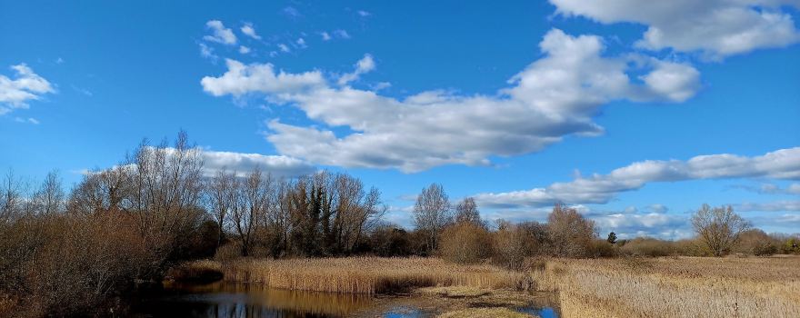 RSPB Fowlmere